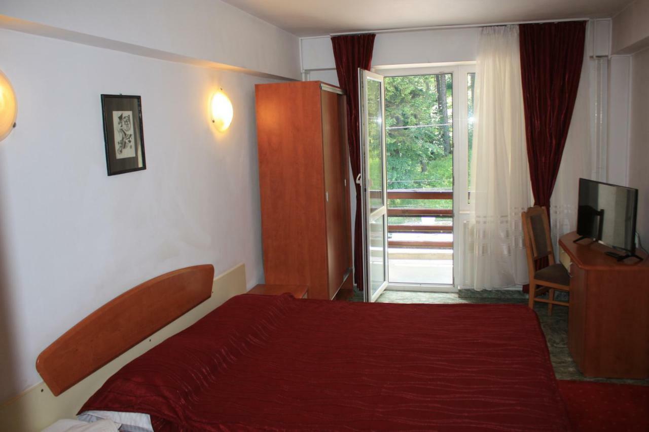 Vila Mihail Hotel Buşteni Zewnętrze zdjęcie