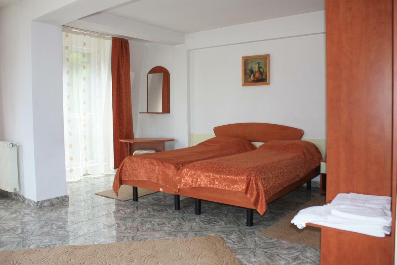 Vila Mihail Hotel Buşteni Zewnętrze zdjęcie